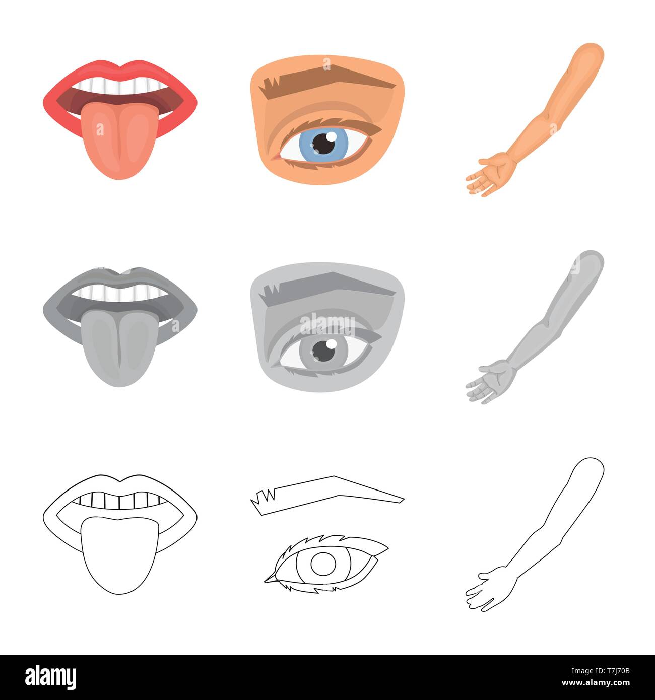 Vector Illustration Of Body And Part Sign Set Of Body And Anatomy