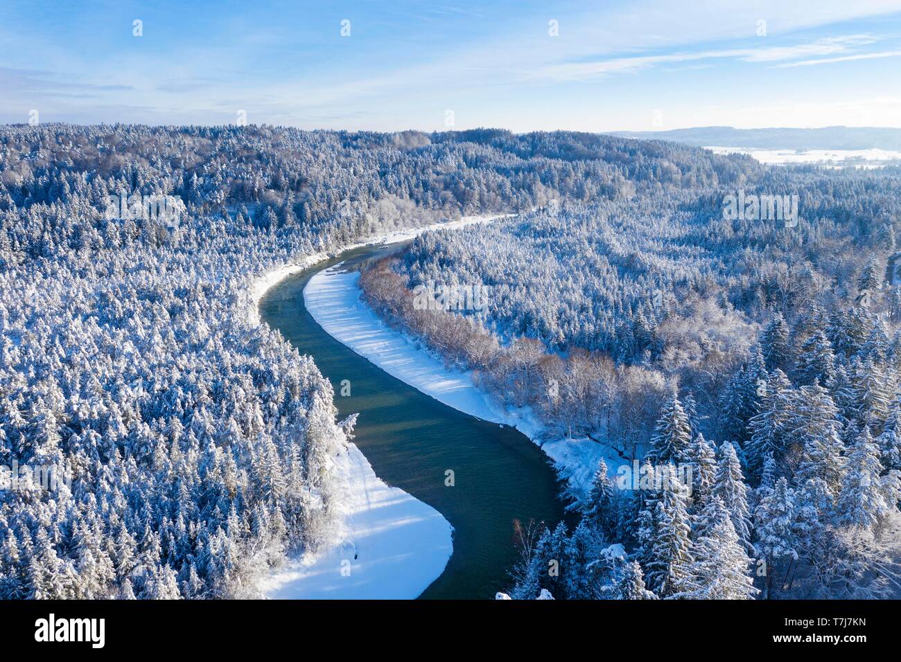 Isar meanders through snow-covered forest area, nature reserve Isarauen near Geretsried, drone shot, Upper Bavaria, Bavaria, Germany Stock Photo