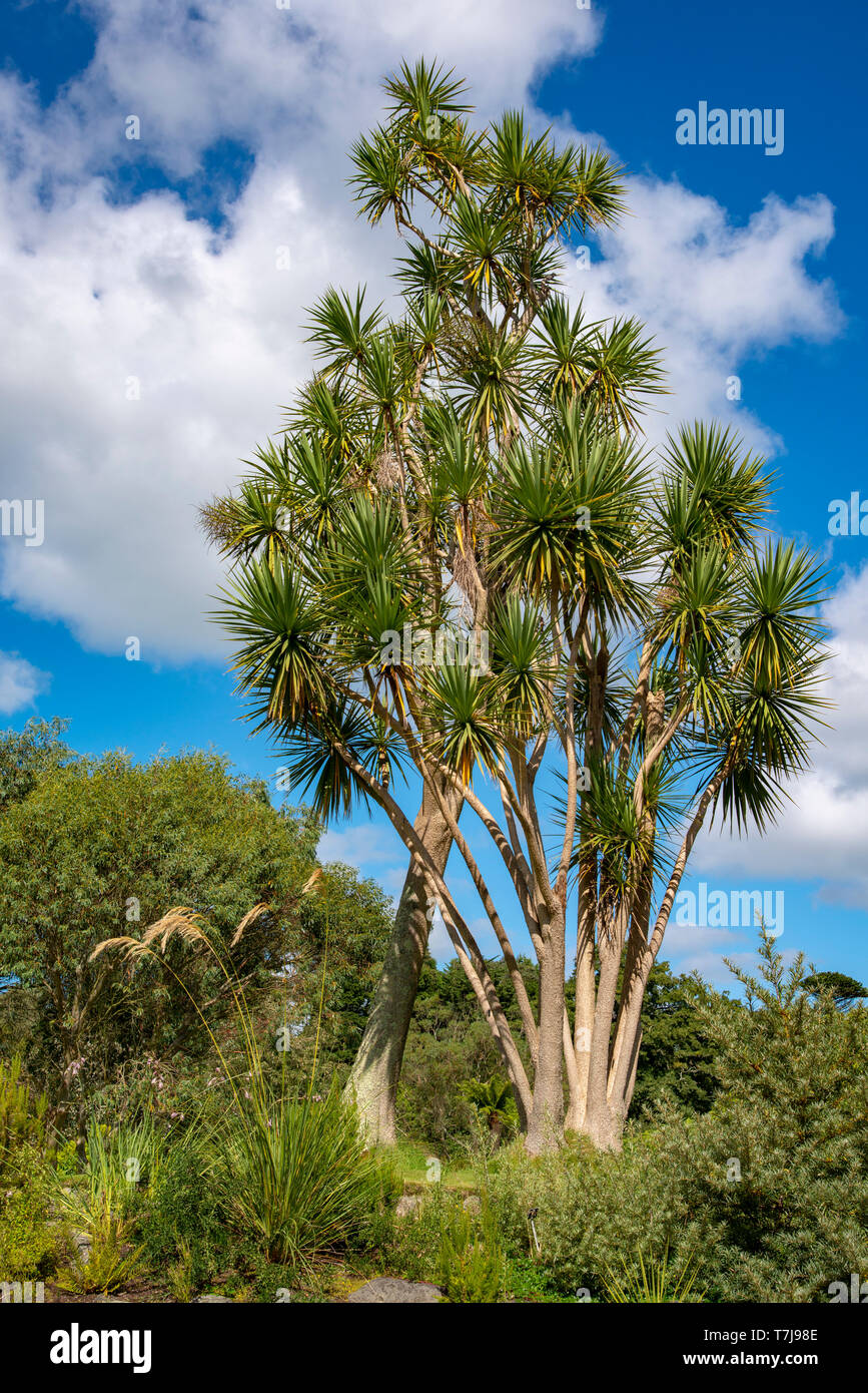 Logan botanical gardens hires stock photography and images Alamy