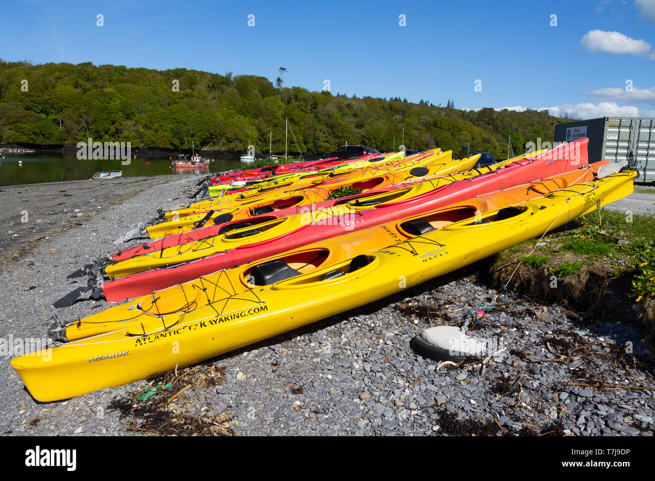 Rows of Kayaks pulled up on a shingle beach after a days paddling Stock Photo