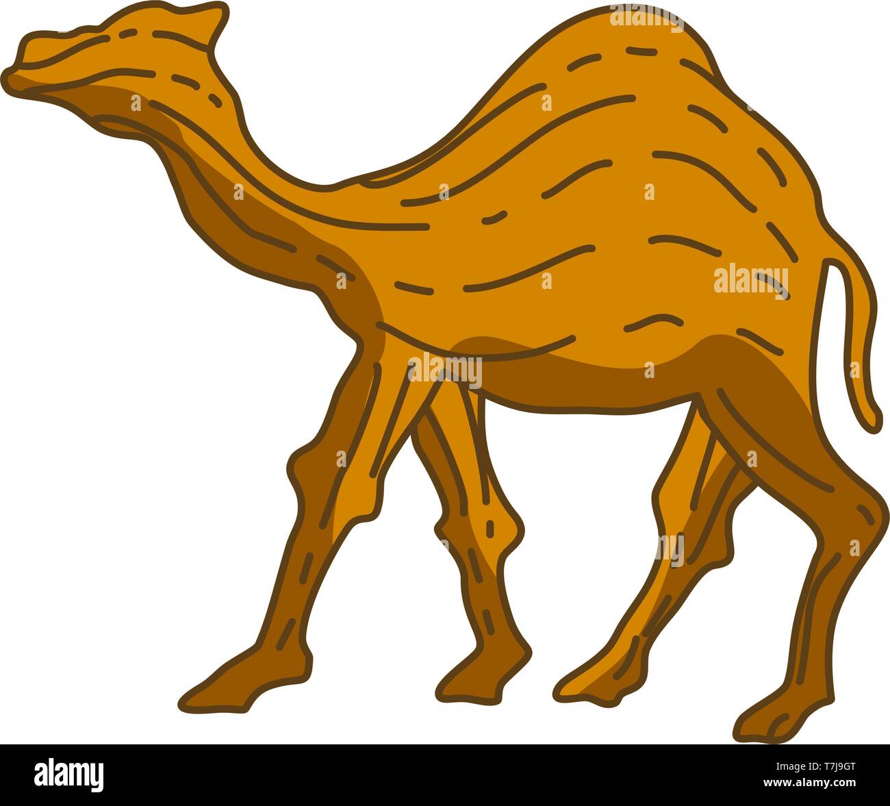 Camel Illustration Animal Vector Design Stock Vector Image & Art - Alamy