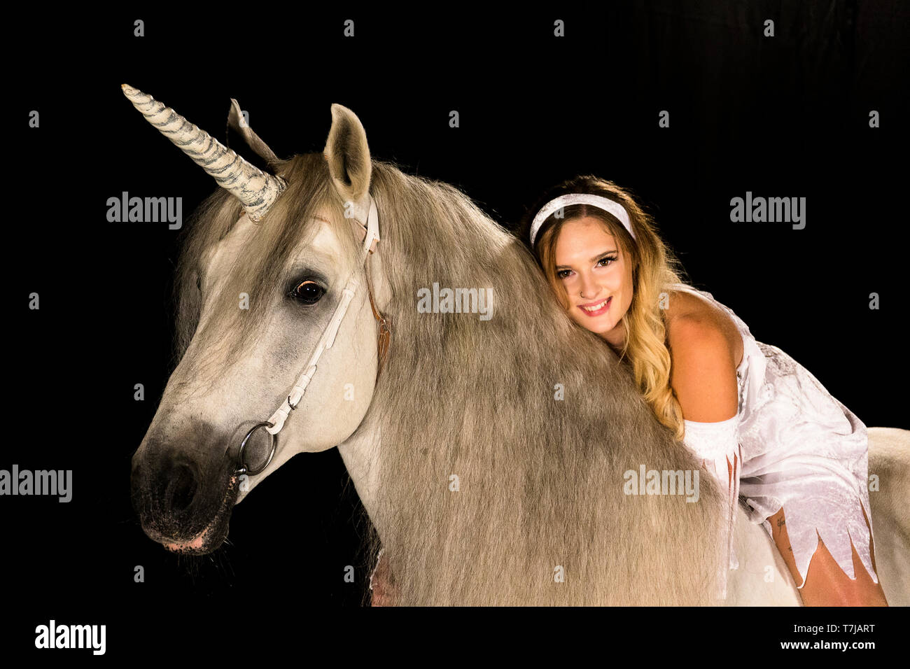 Young woman (fairy, virgin) on back of unicorn (Pure Spanish Horse with attached horn). Germany Stock Photo