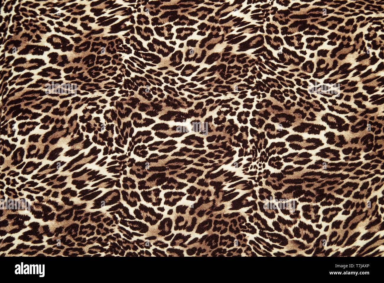 Leopard background pattern animal print leopard textile design fabric Leopard skin seamless pattern Stock Photo