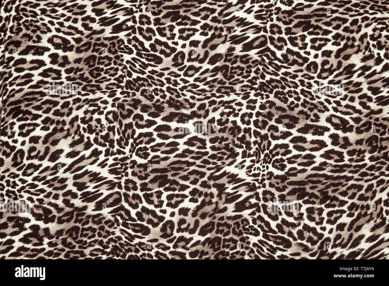 Leopard background texture safari pattern leopard print fabric material