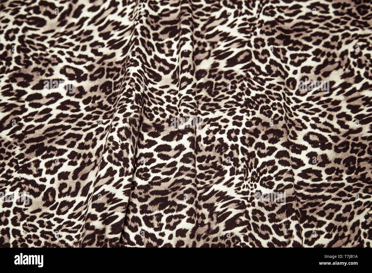 Leopard seamless texture animal fabric print decor Leopard print wallpaper Stock Photo