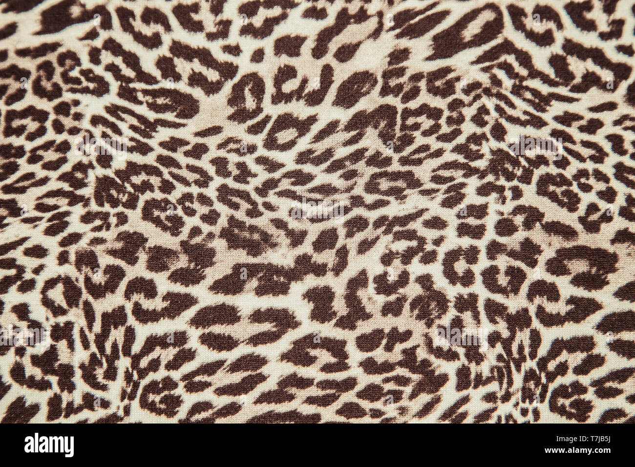 Leopard animal print texture material Stock Photo