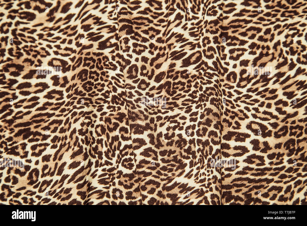 Leopard background texture safari pattern leopard print fabric material design Stock Photo