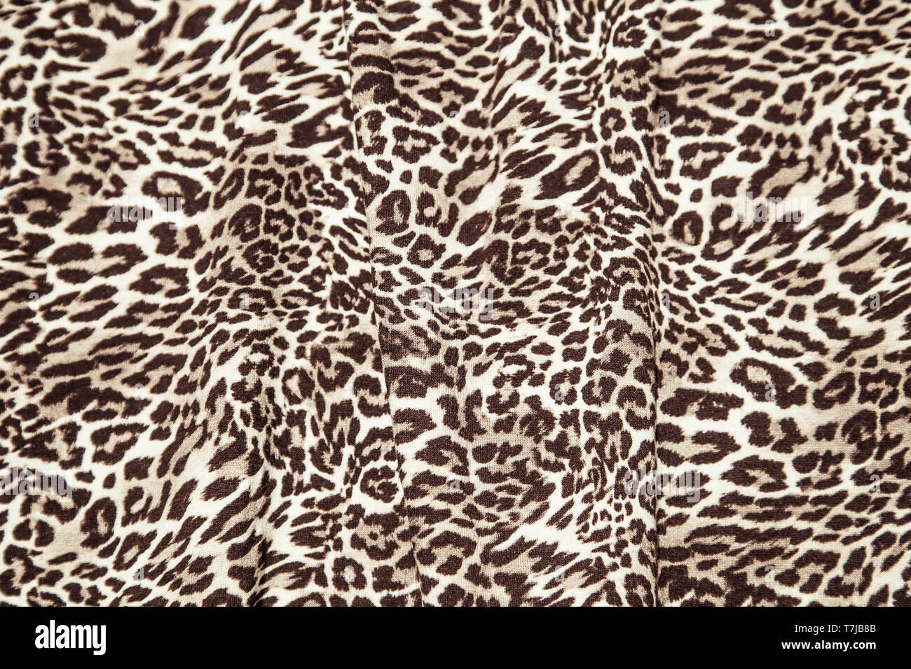 Leopard seamless texture animal fabric print décor Leopard print wallpaper  Stock Photo - Alamy