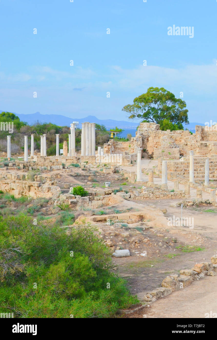 Vertical photography of famous ruins of ancient city Salamis. Salamis