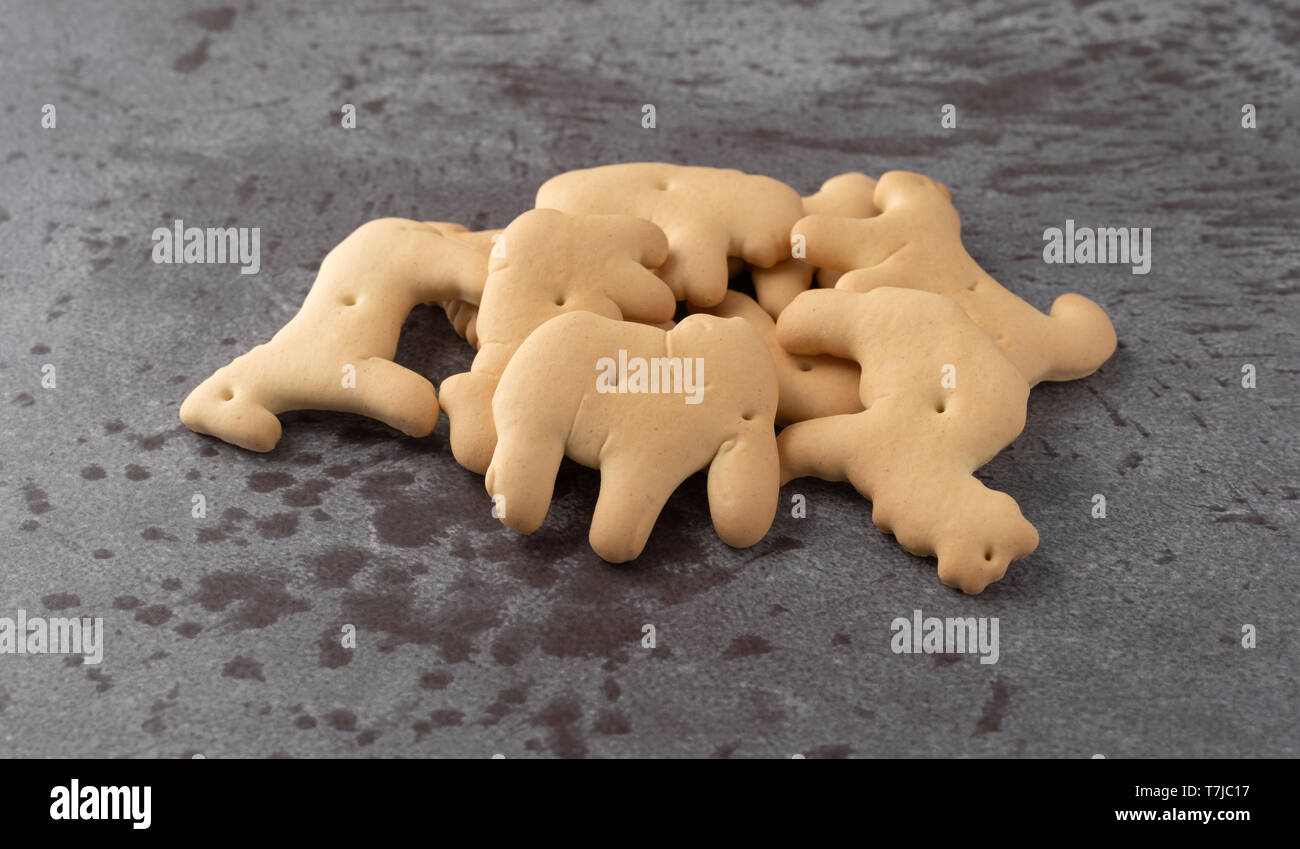 Side view of elephant, hippopotamus, buffalo, sheep and camel shaped animal crackers on a gray background illuminated with natural lighting. Stock Photo