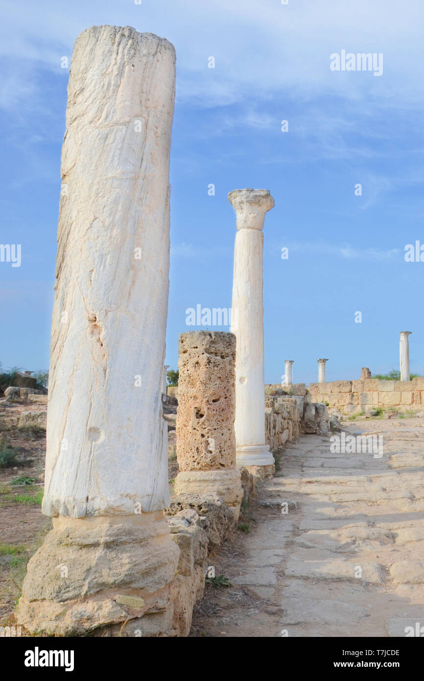 Spectacular Corinthian columns belonging to famous Salamis Gymnasium