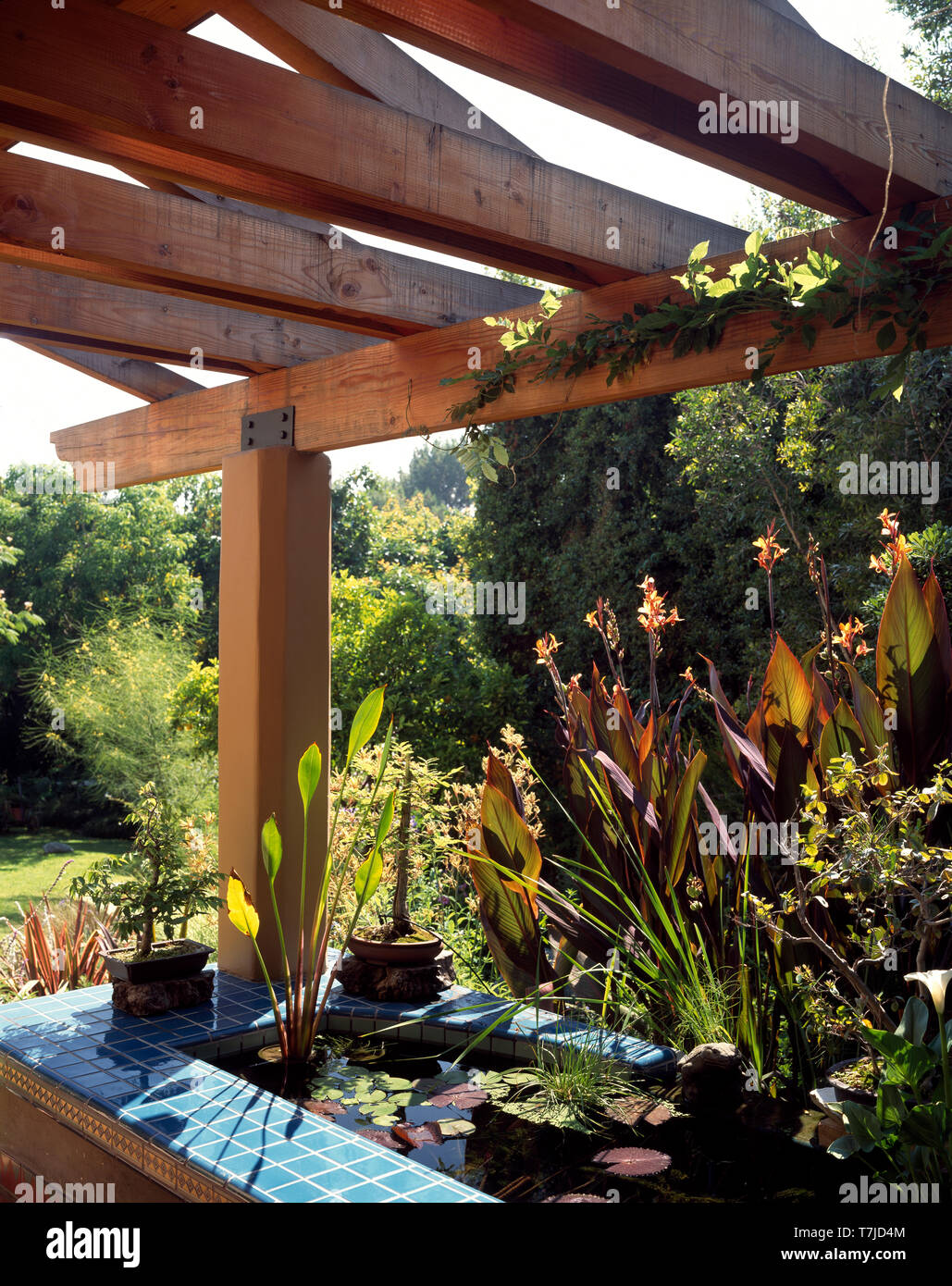 Small water feature covered with wooden pergola Stock Photo Alamy