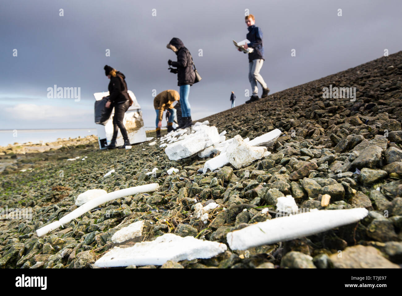 Cleanup operation of polystyrene packaging Stock Photo Alamy