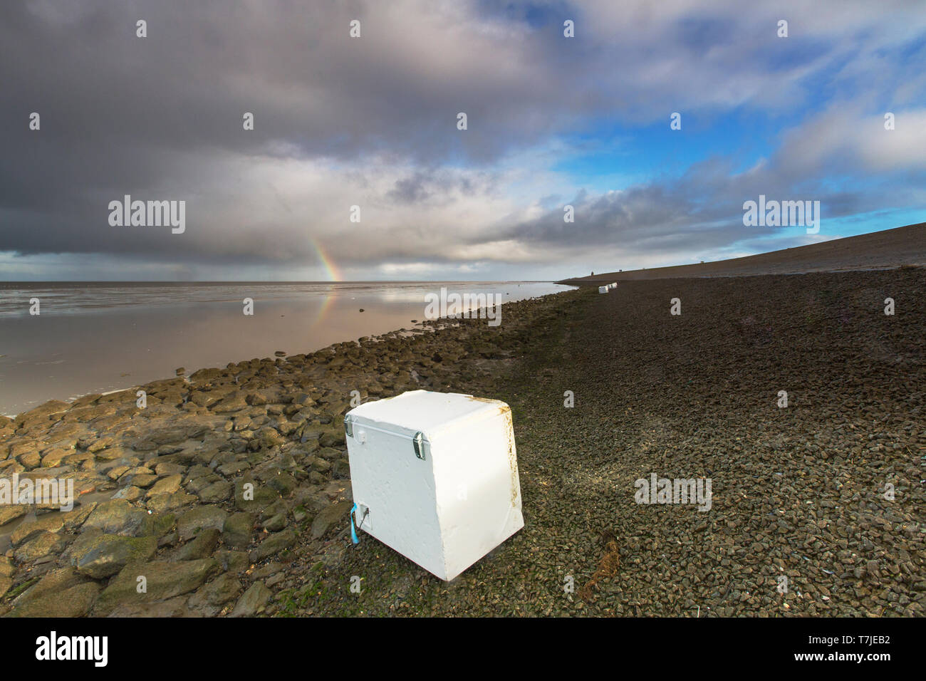 Freezer cabinet on the wadden Sea after a cargo ship the MSC Zoe lost 270 containers Stock Photo