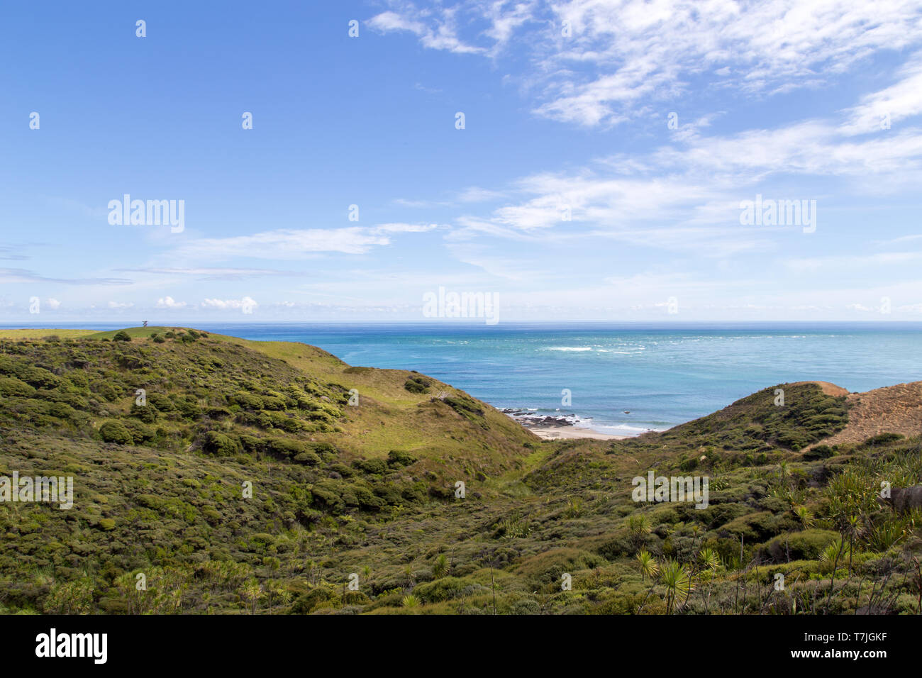 Beautiful Coastline at Omapere, New Zealand Stock Photo