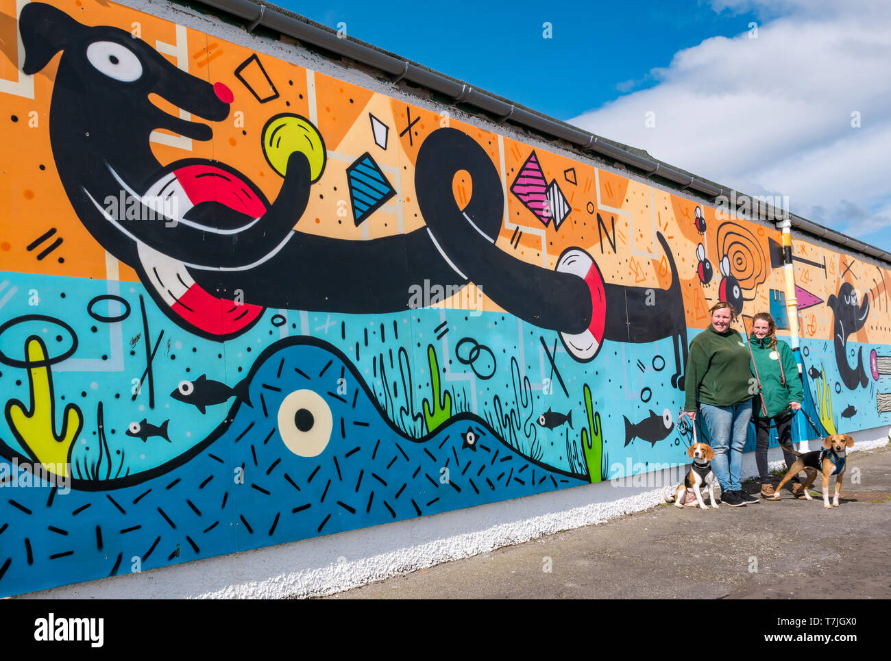 Edinburgh dog and cat home hires stock photography and images Alamy