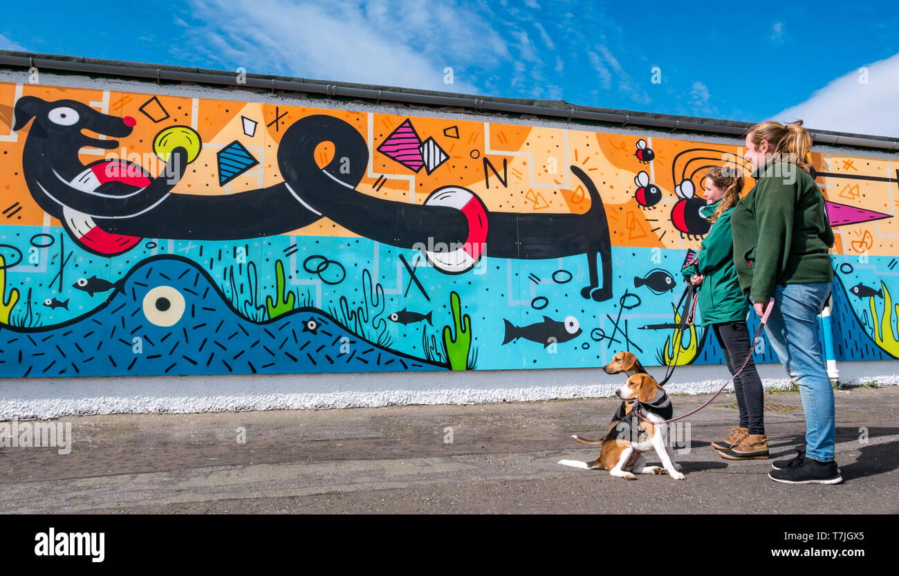 Edinburgh dog and cat home hires stock photography and images Alamy