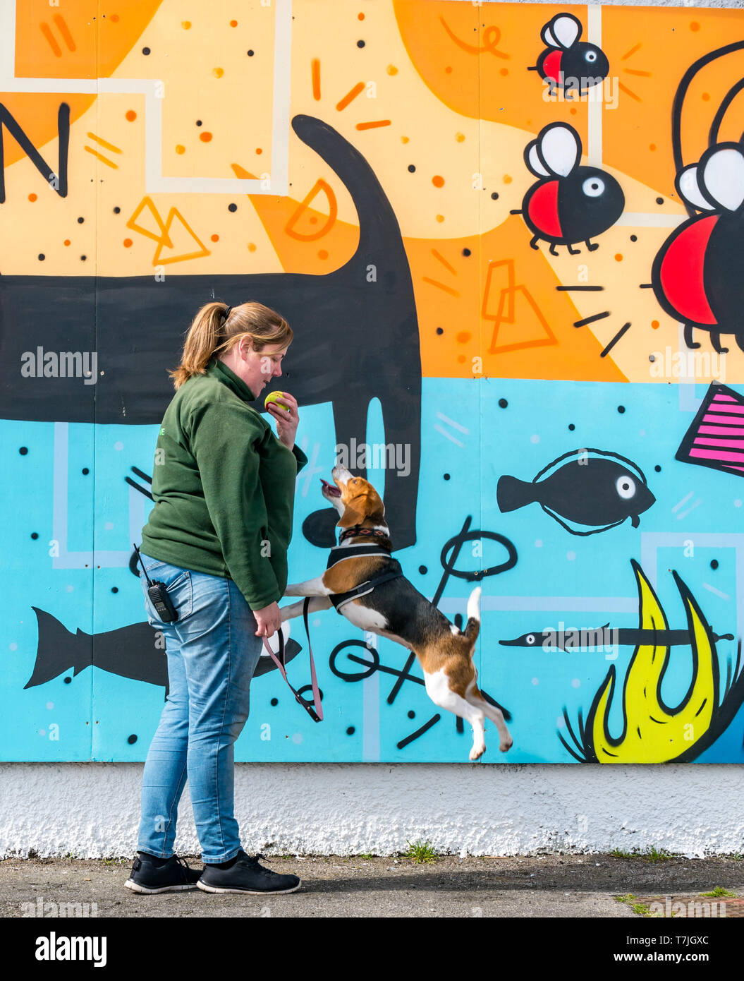 Edinburgh dog and cat home hires stock photography and images Alamy