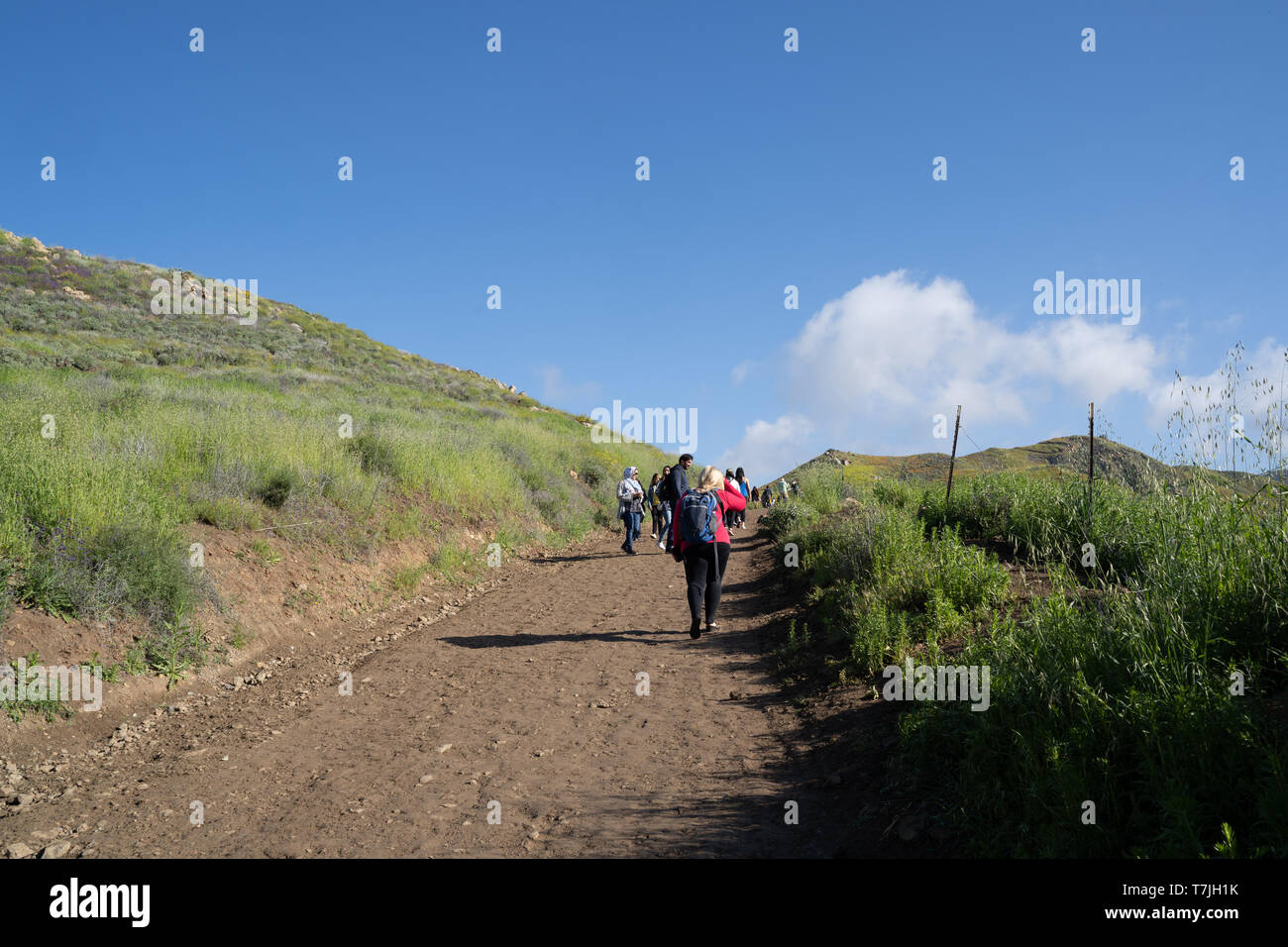 Lake Elsinore, California - March 22, 2019: Tourists and hikers walk along the trail of Walker Canyon during the Poppy wildflower superbloom Stock Photo