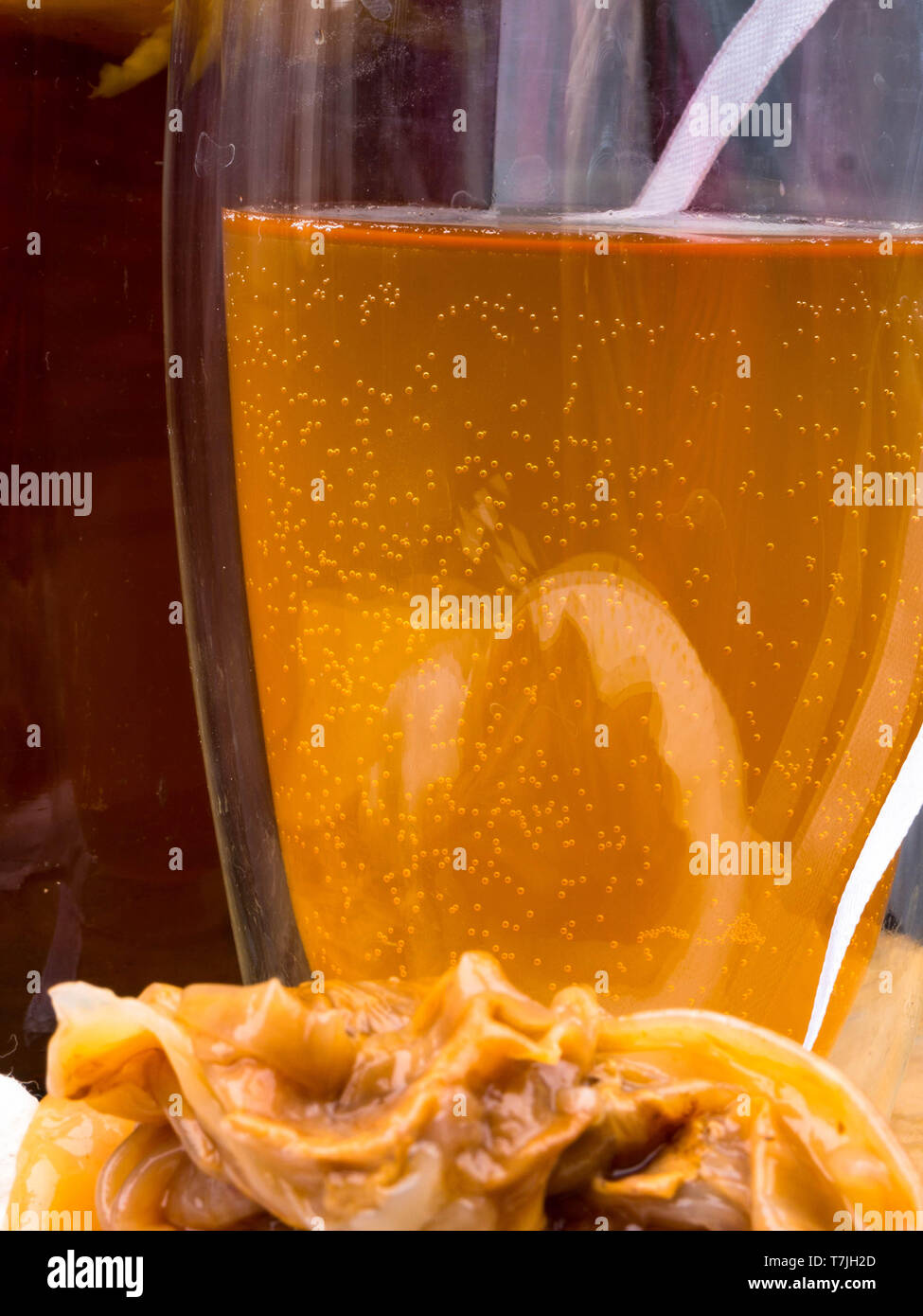 Kombucha superfood, Probiotic food, gut health Stock Photo Alamy