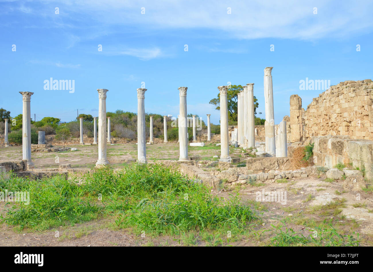 Amazing view of well preserved ruins of ancient Greek city Salamis in