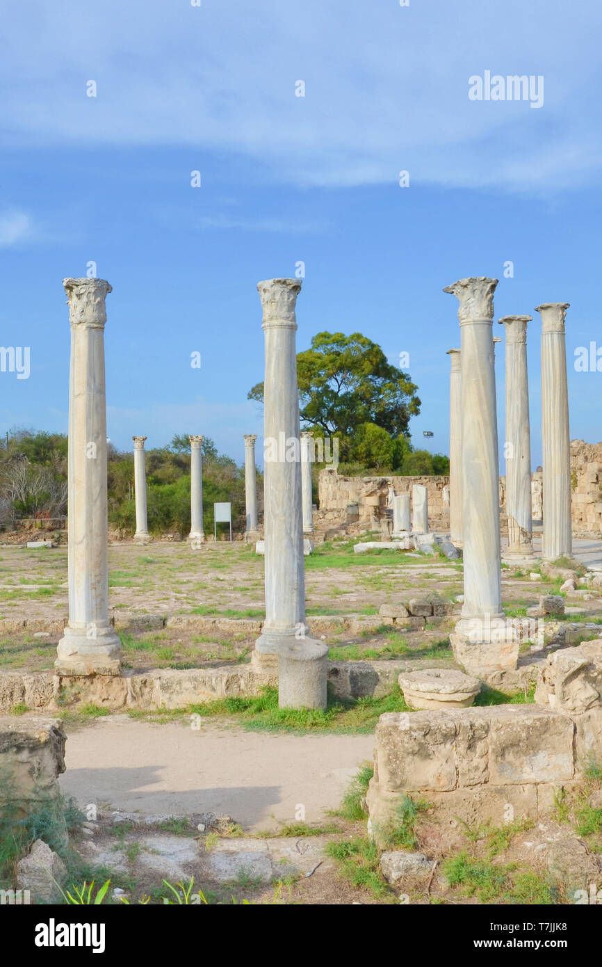 Stunning ruins of ancient Greek city Salamis located in todays Northern