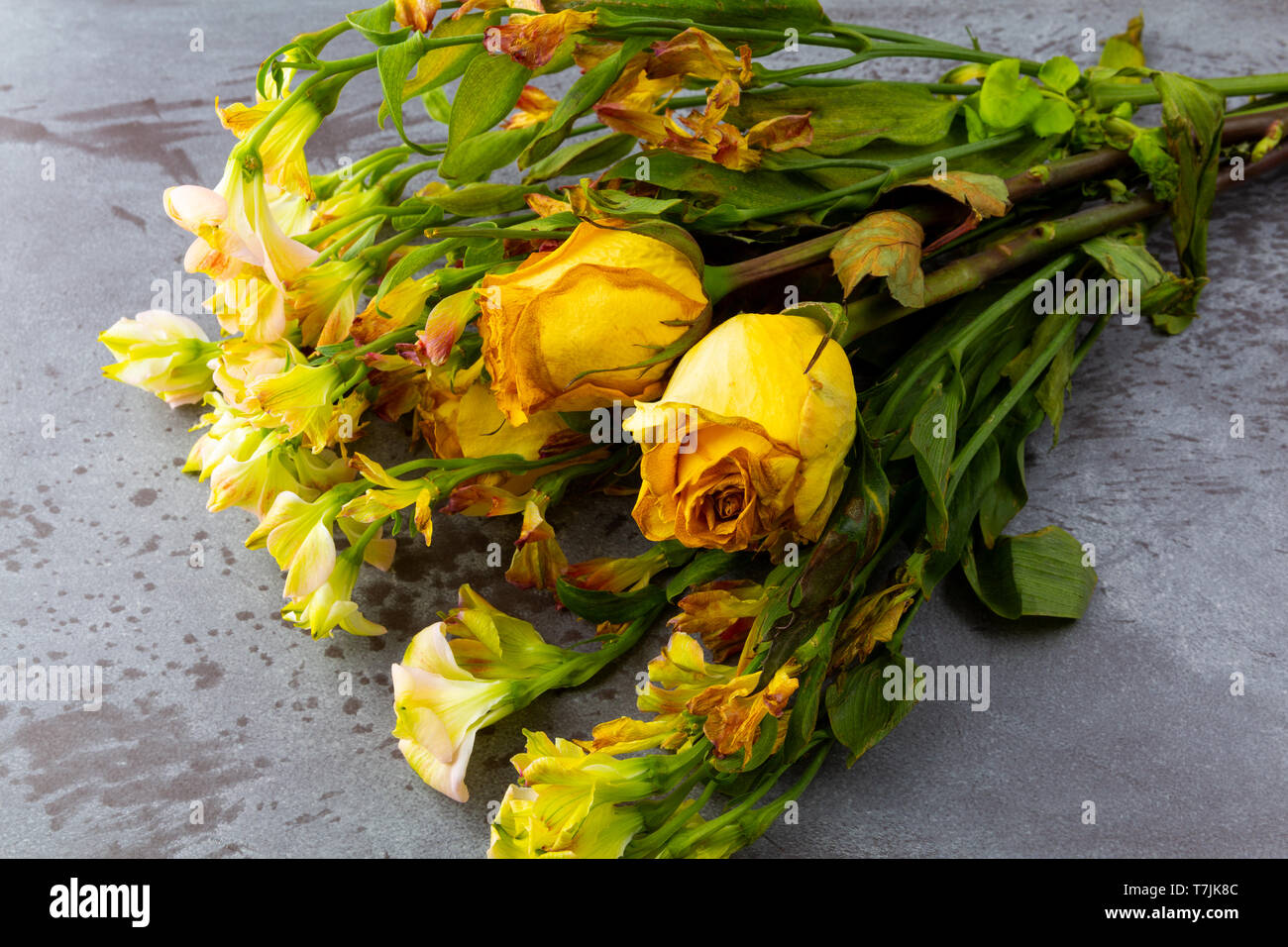 Top view of a bouquet of wilting flowers with yellow roses on a gray background illuminated with natural lighting. Stock Photo