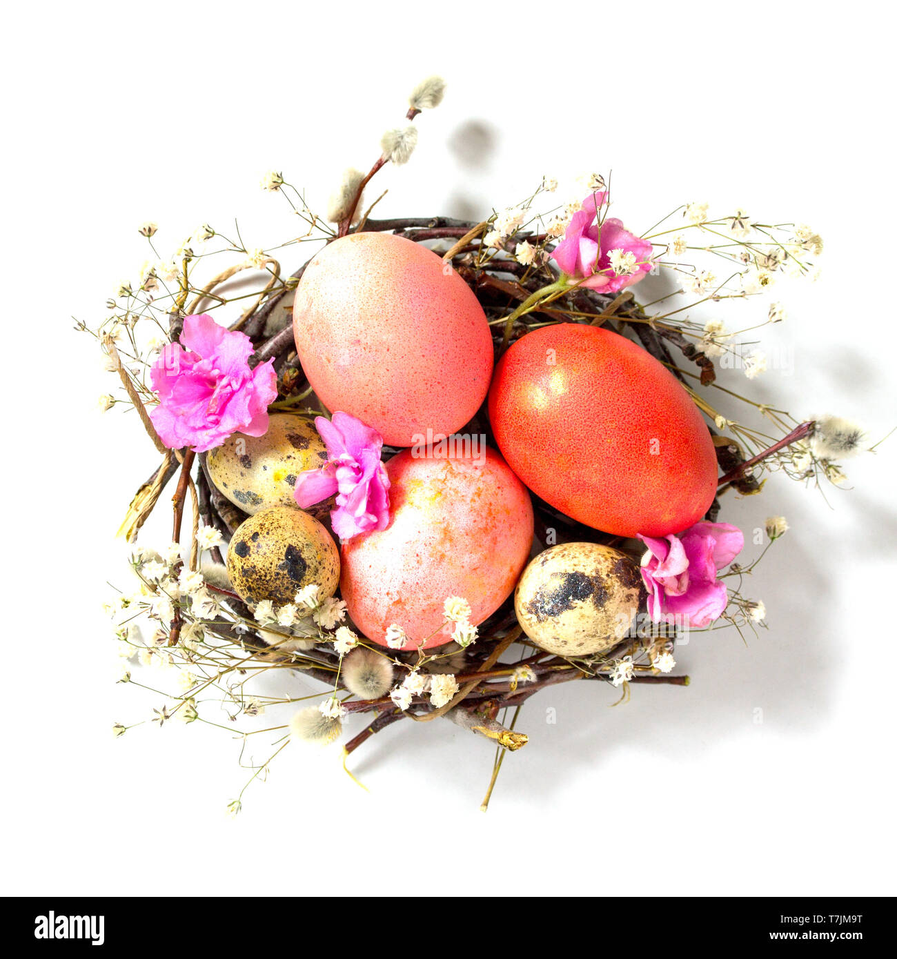 Decorative Easter eggs in nest isolated on white background Stock Photo ...