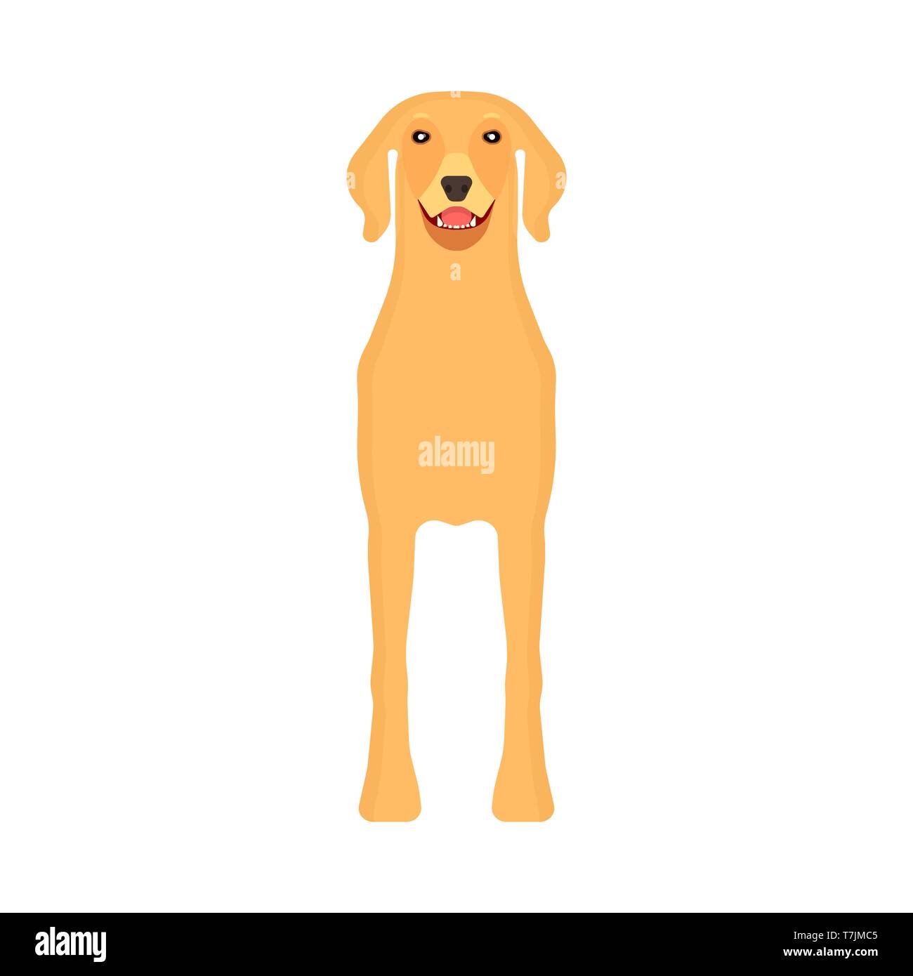 Dog Labrador Animal Pet Vector Icon Front View Isolated Puppy Cute Cartoon Happy Friend Brown Standing Canine Silhouette Stock Vector Image Art Alamy