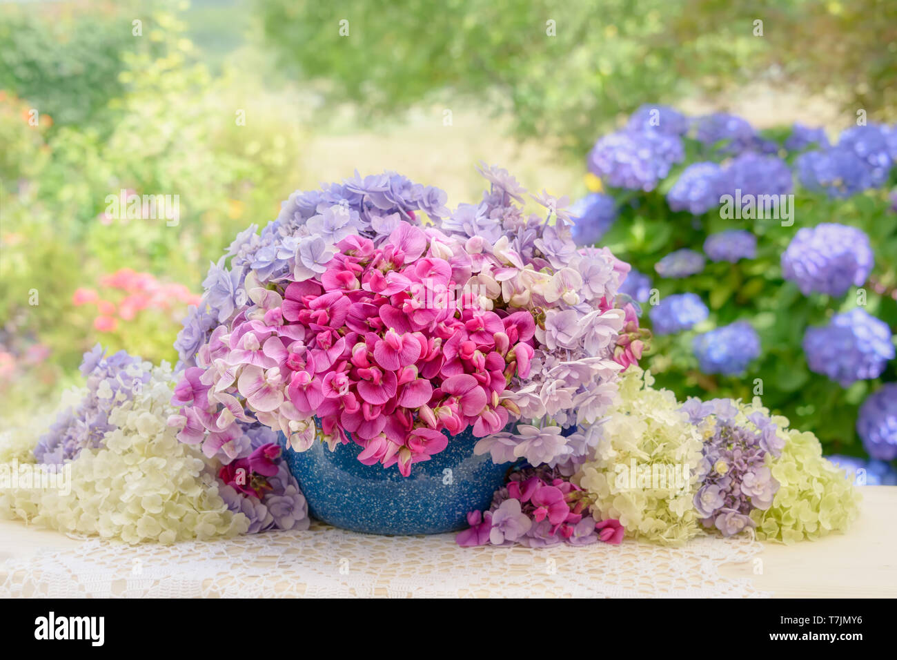 Colorful bouquet of pink vetch Vicia flowers in an old blue enamel bowl with hydrangea blooms in a country garden on a summery day Stock Photo