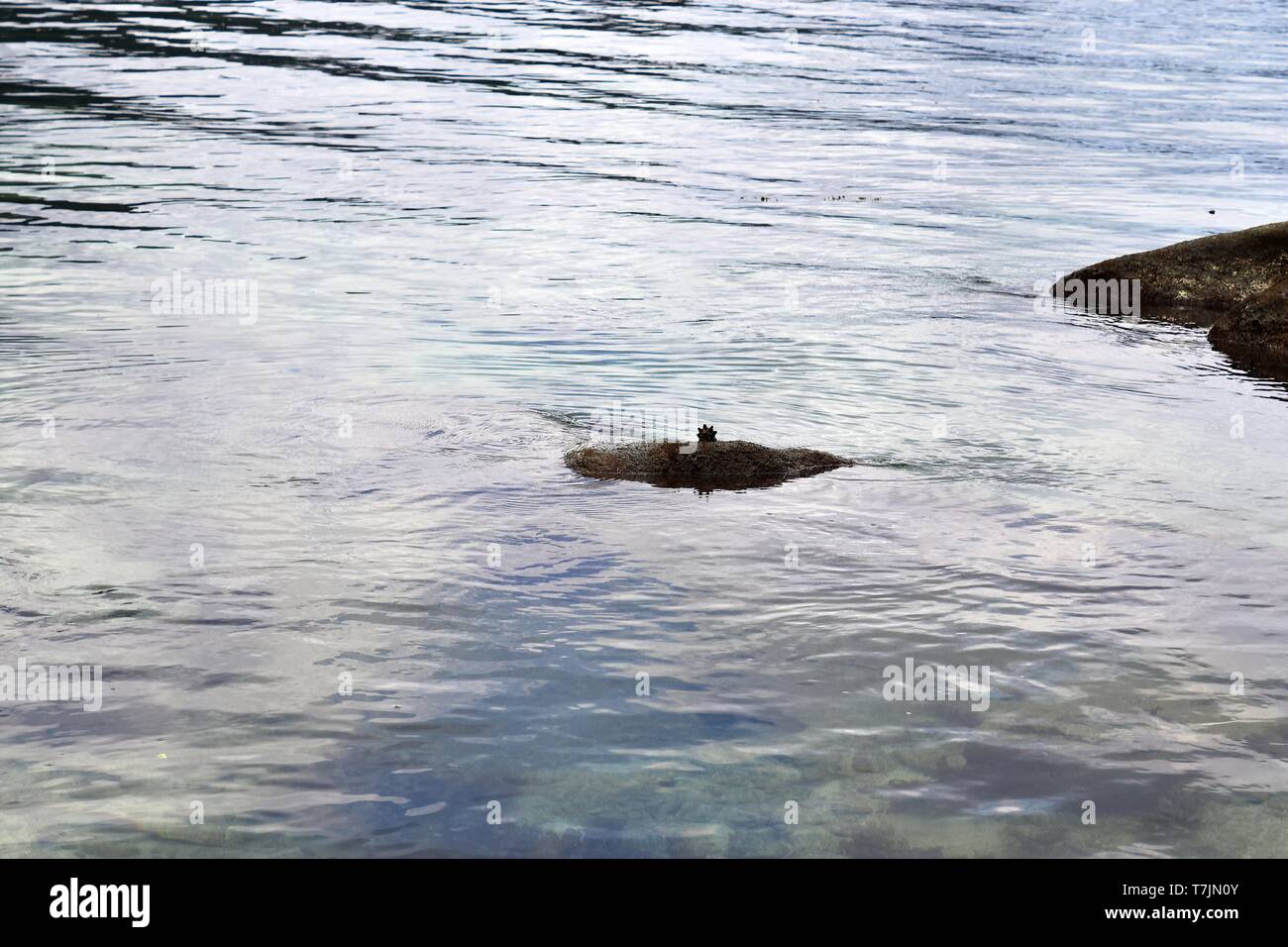 Close up surface of floating water with ripples and waves and some ...