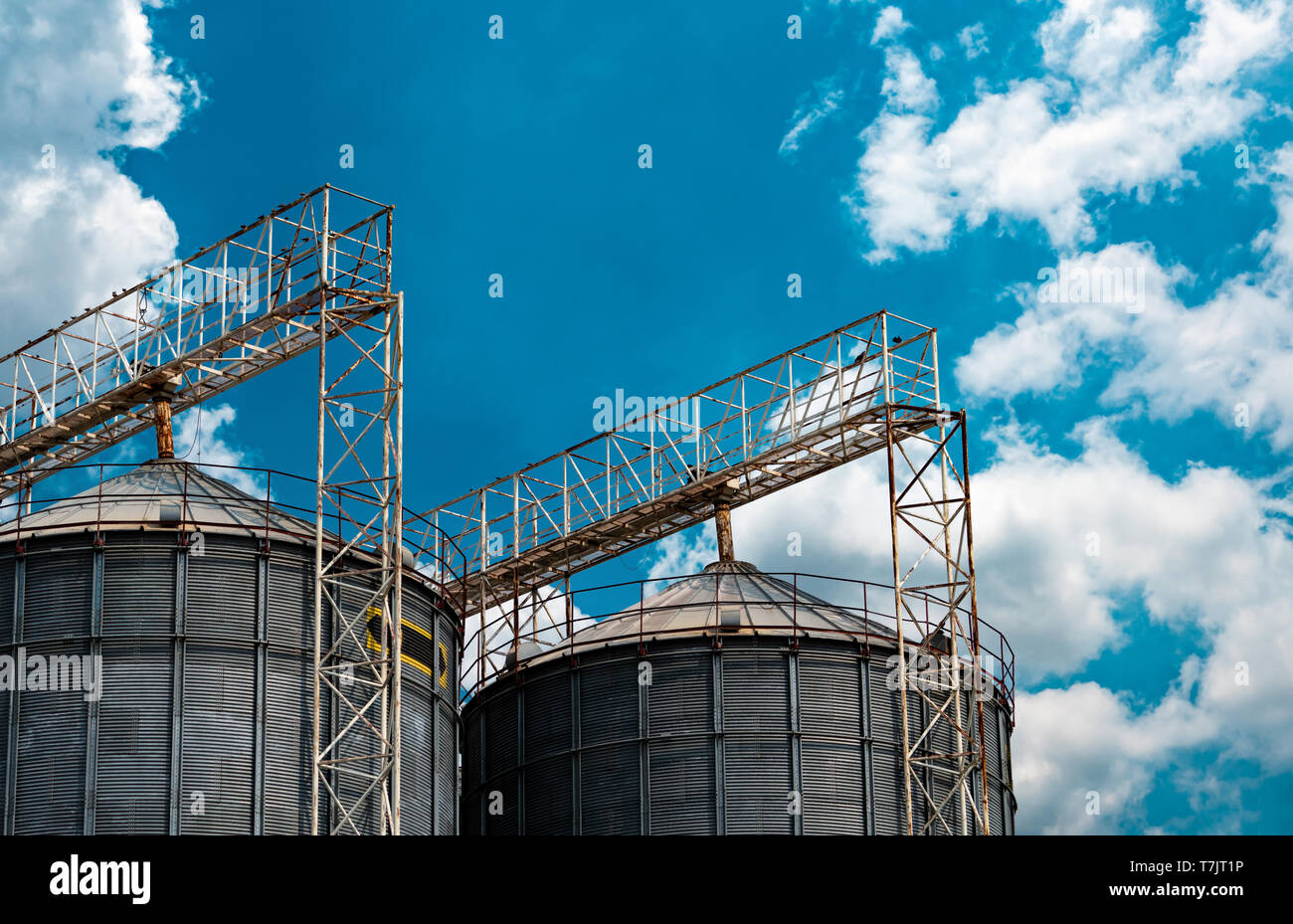 corn feed mill