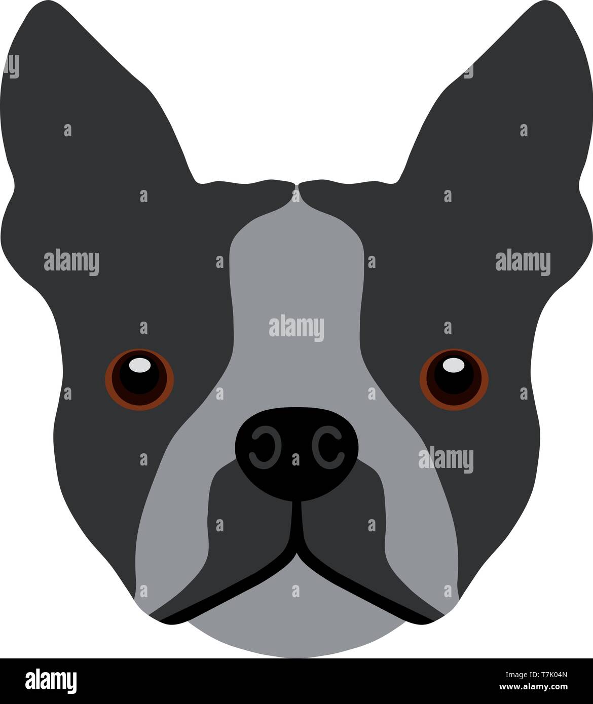 Boston Terrier Vector Stock Vector