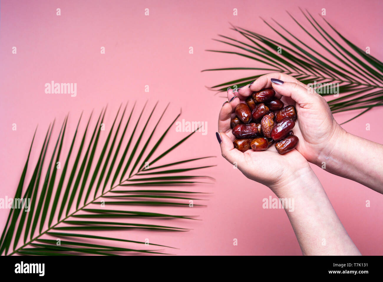 Hand holding date fruits first person view Stock Photo Alamy