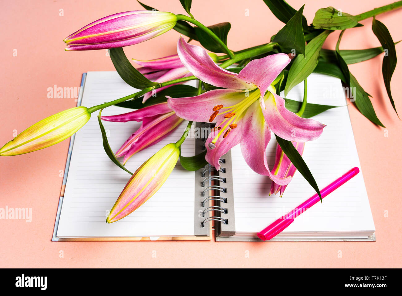 Beautiful Lily flower and a notebook on pink background top view Stock Photo