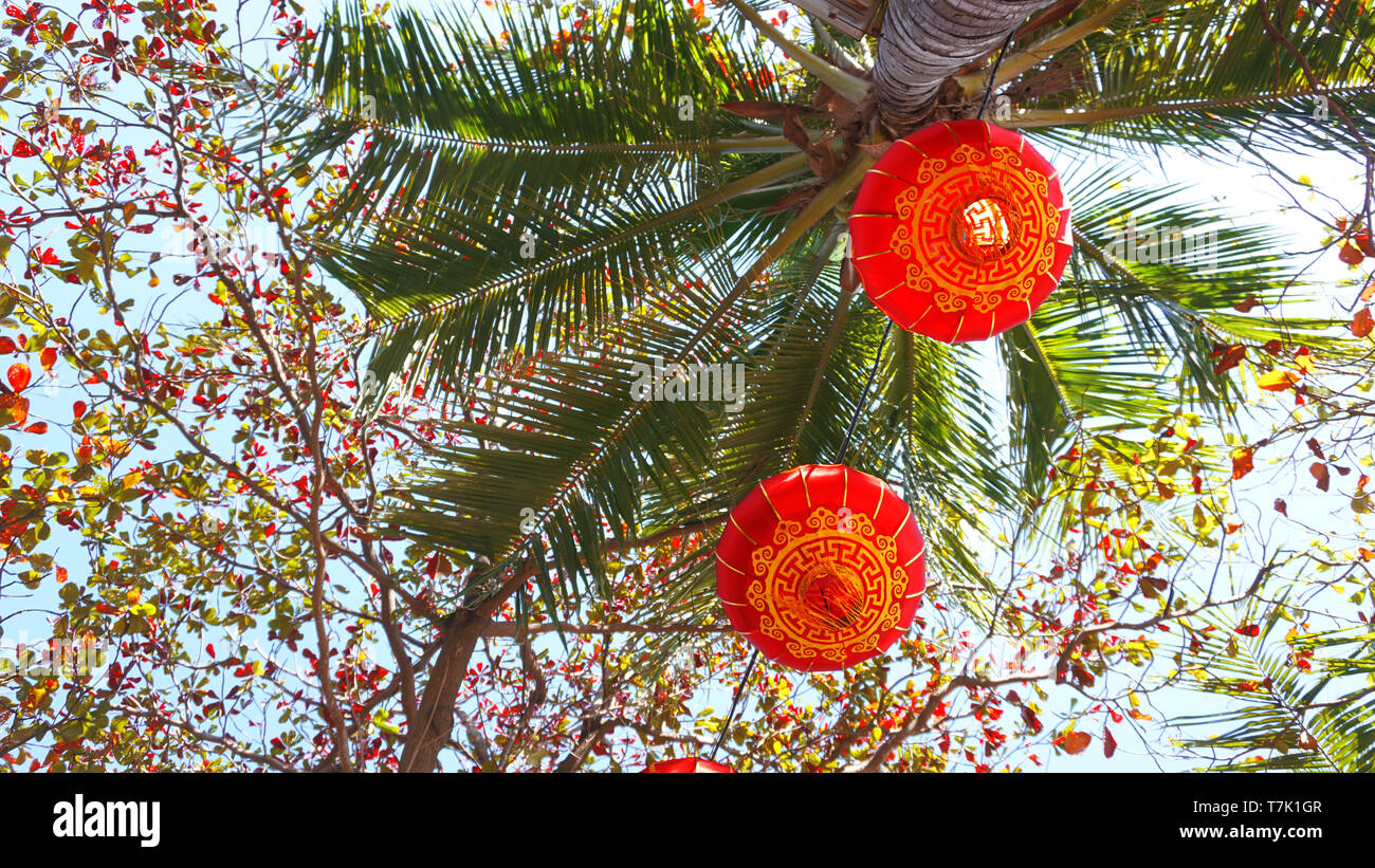 Red lanterns on Chinese New Year Event at Hawaii with Coconut palm