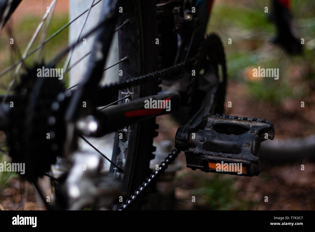 Close up of bike pedal and chain in the forest. Stock Photo