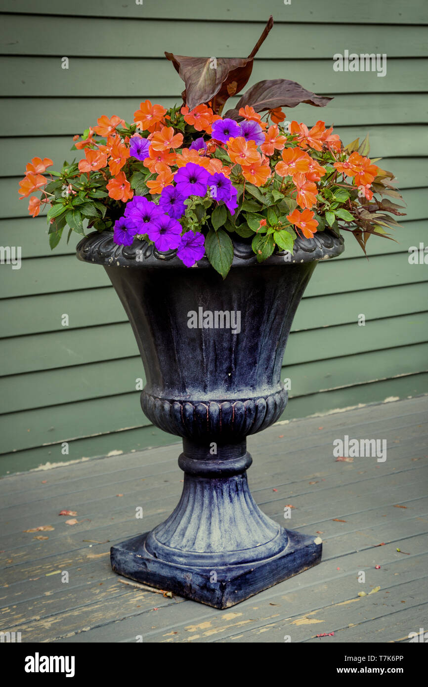 Old pedestal style planter with purple petunias and orange impatiens. Stock Photo