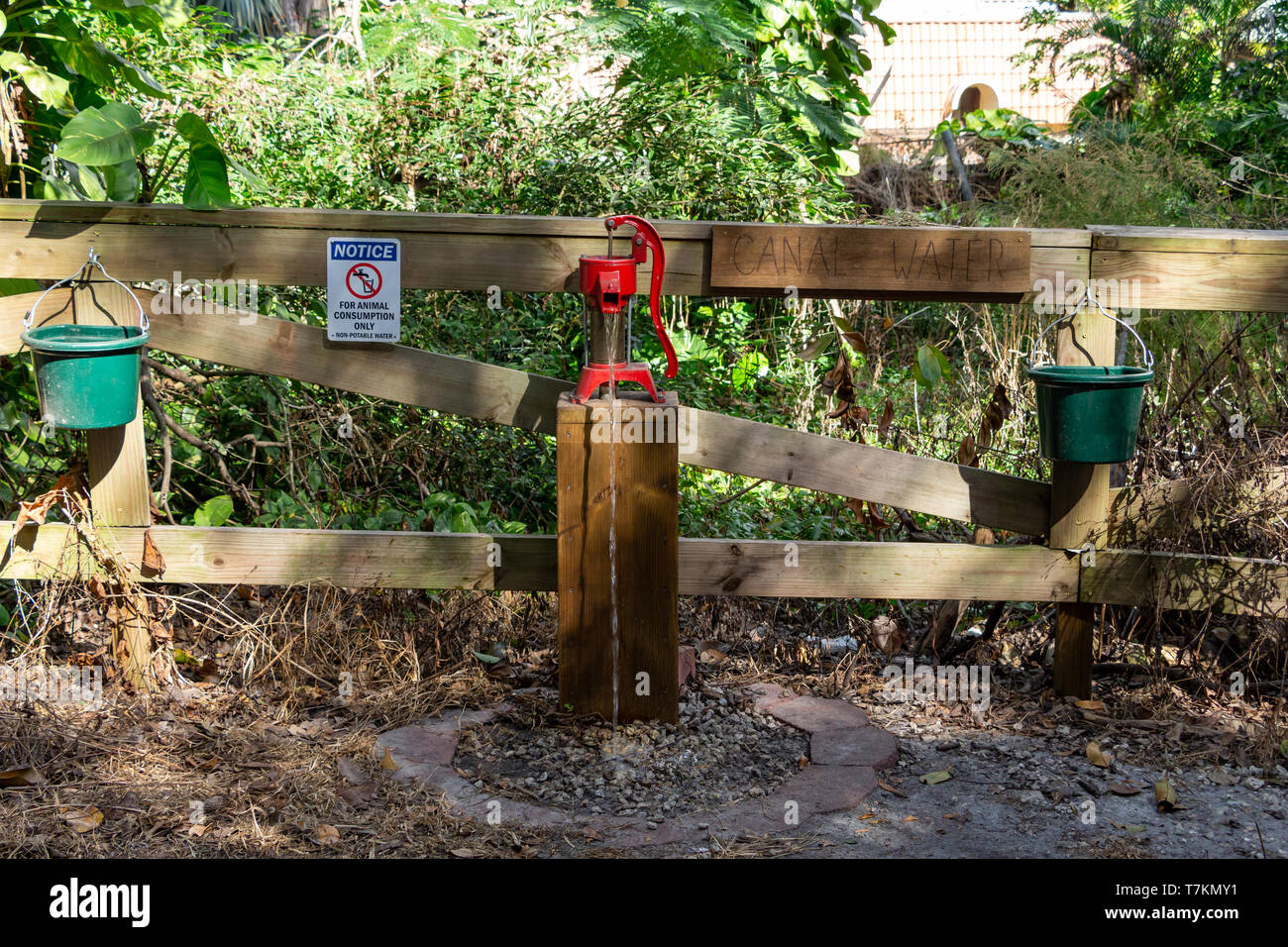 Canal water hand pump for watering horses Robbins Preserve, Davie