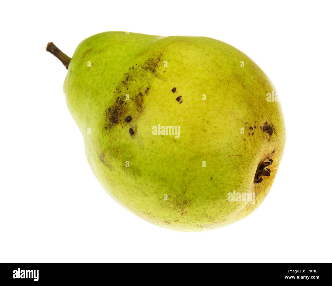 Side view of a single ripe green anjou pear isolated on a white