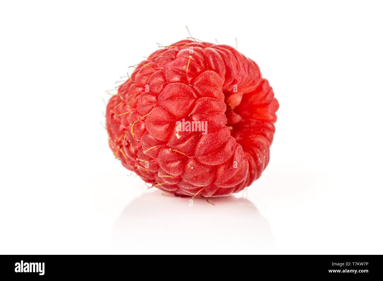 One whole picked fresh red raspberry isolated on white background Stock ...