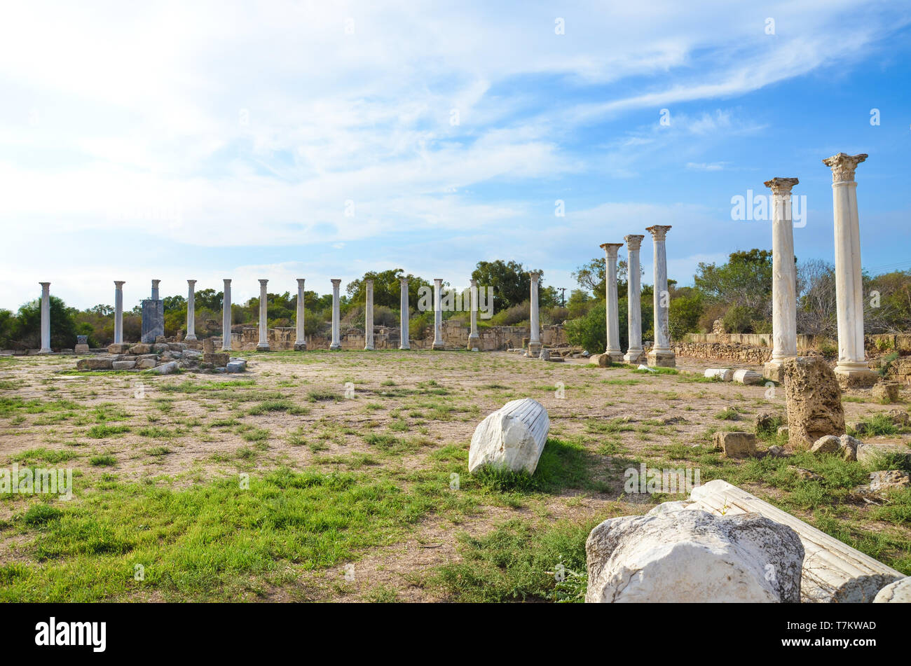 Well preserved ruins of ancient city Salamis in Northern Cyprus taken on a beautiful sunny day. The amazing Corinthian columns were part of gymnasium. Stock Photo