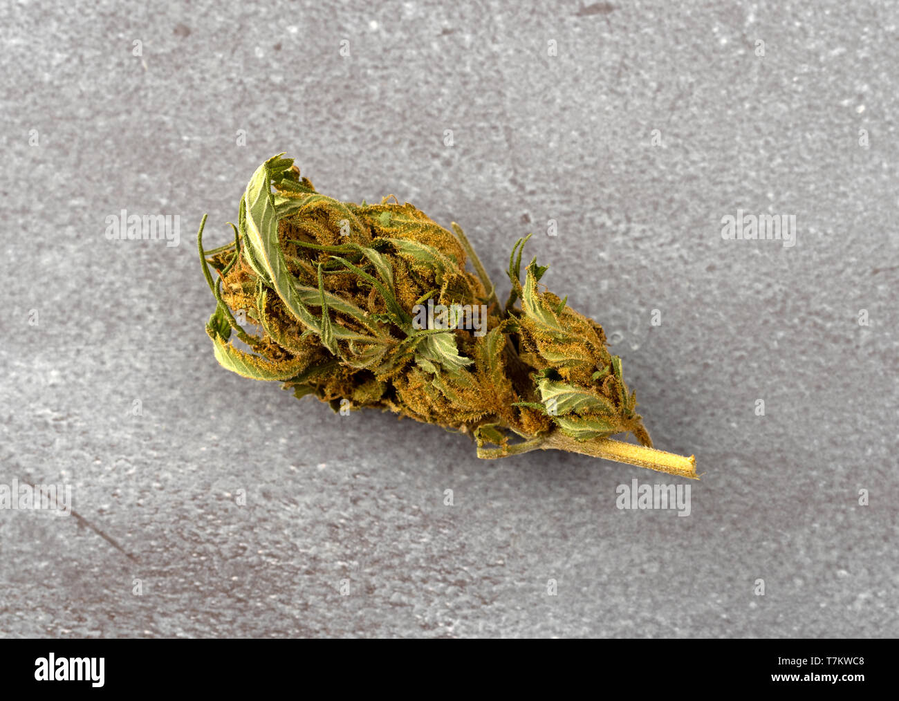 Top view of a marijuana bud on a gray table illuminated with natural light. Stock Photo