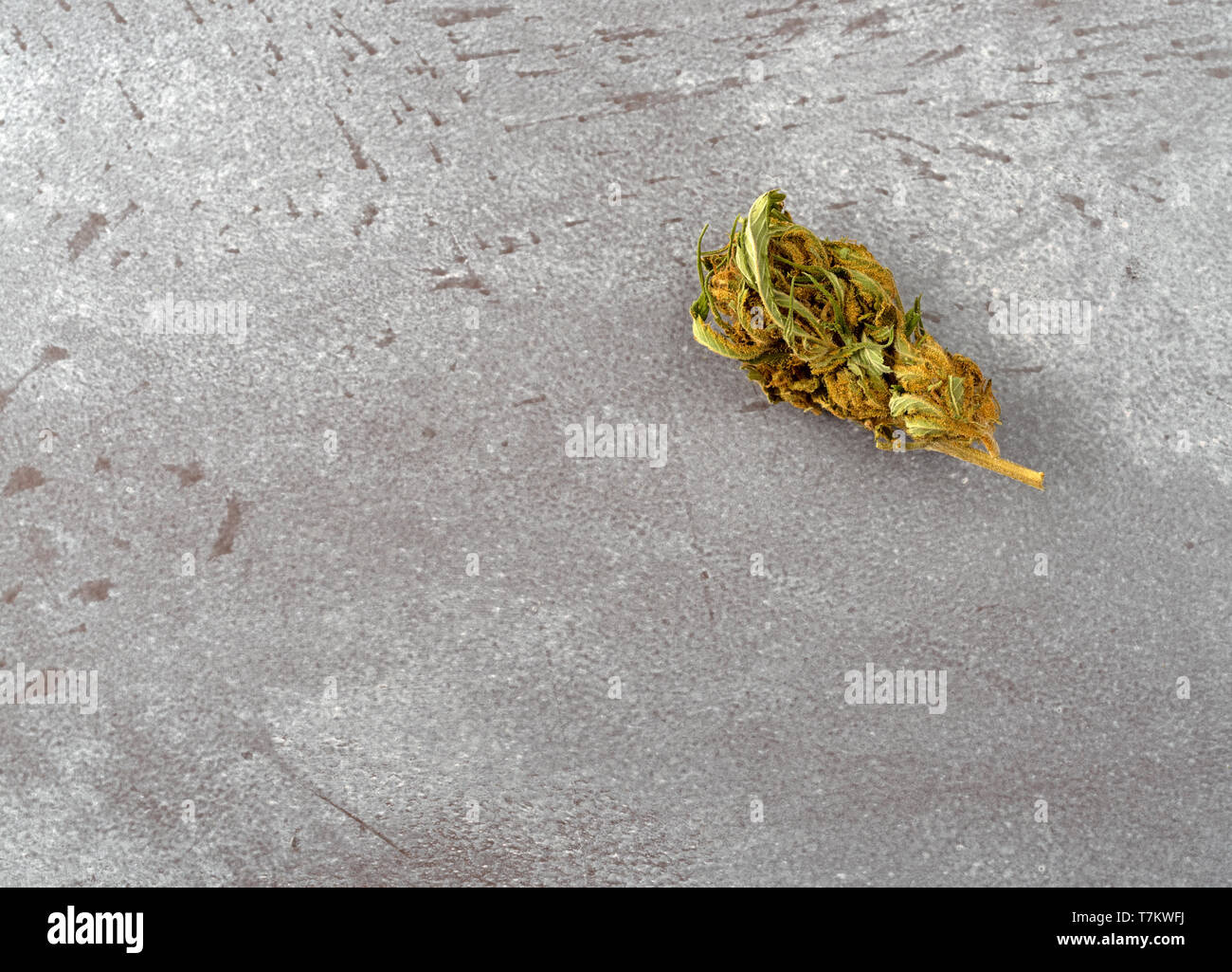 Top view of a marijuana bud offset on a gray table illuminated with natural light. Stock Photo