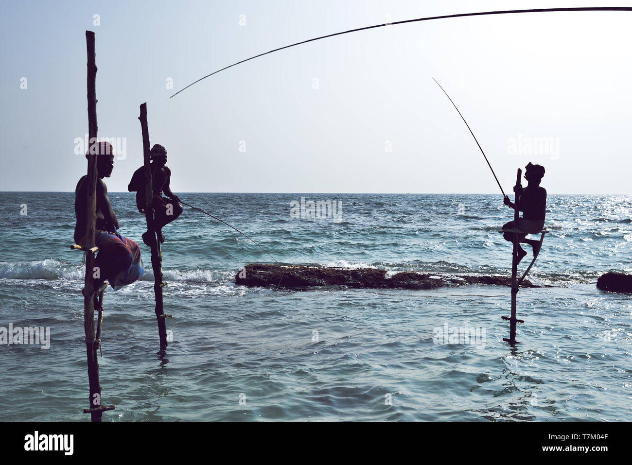 https://c8.alamy.com/comp/T7M04F/the-local-fishermen-are-fishing-in-unique-style-the-standing-on-the-single-timber-pole-can-only-found-in-this-indian-ocean-T7M04F.jpg