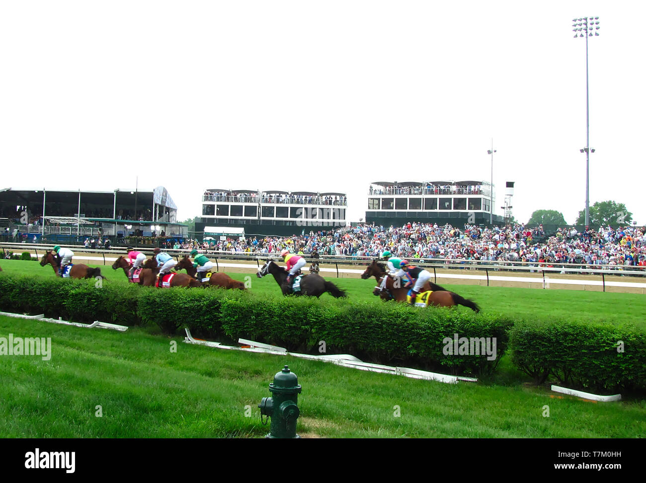Kentucky derby race 145th hires stock photography and images Alamy