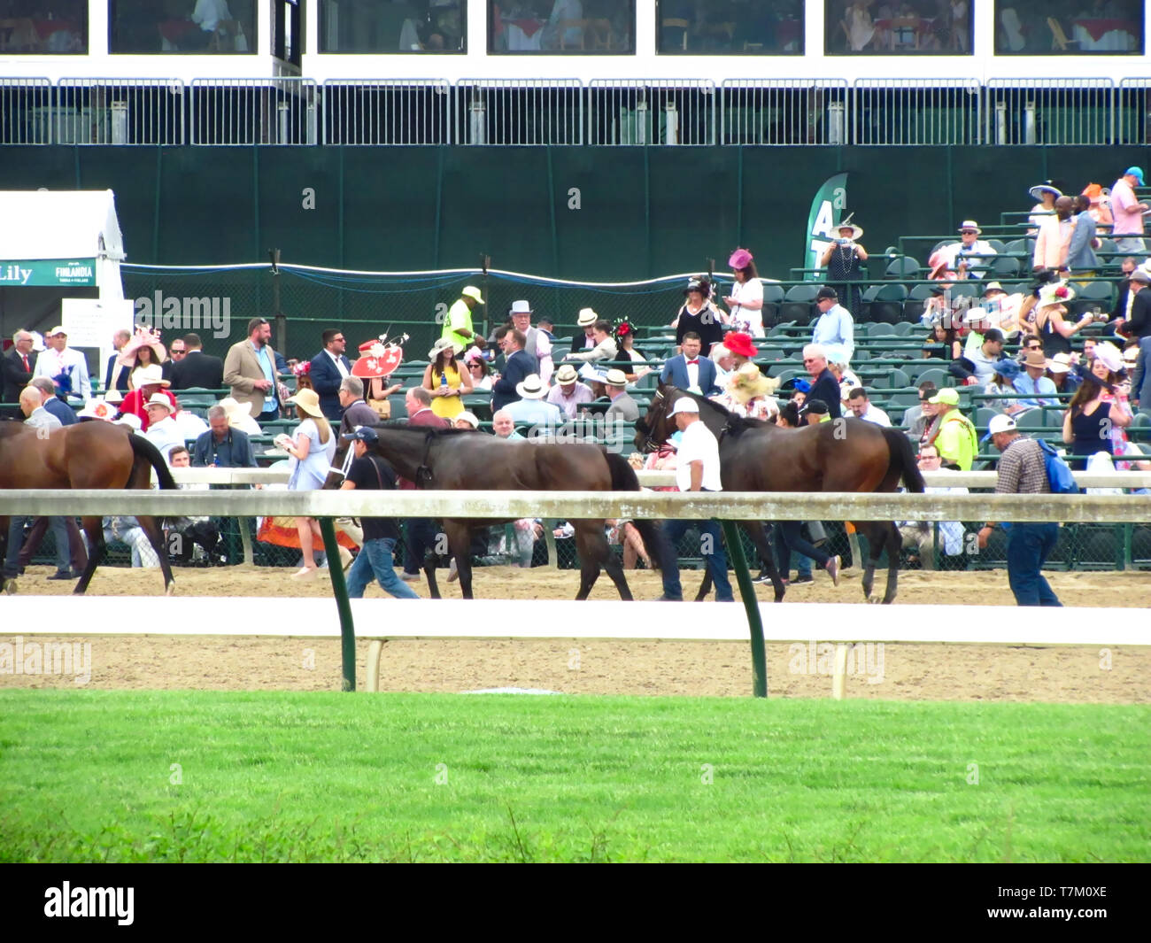 145th kentucky derby hi-res stock photography and images - Alamy