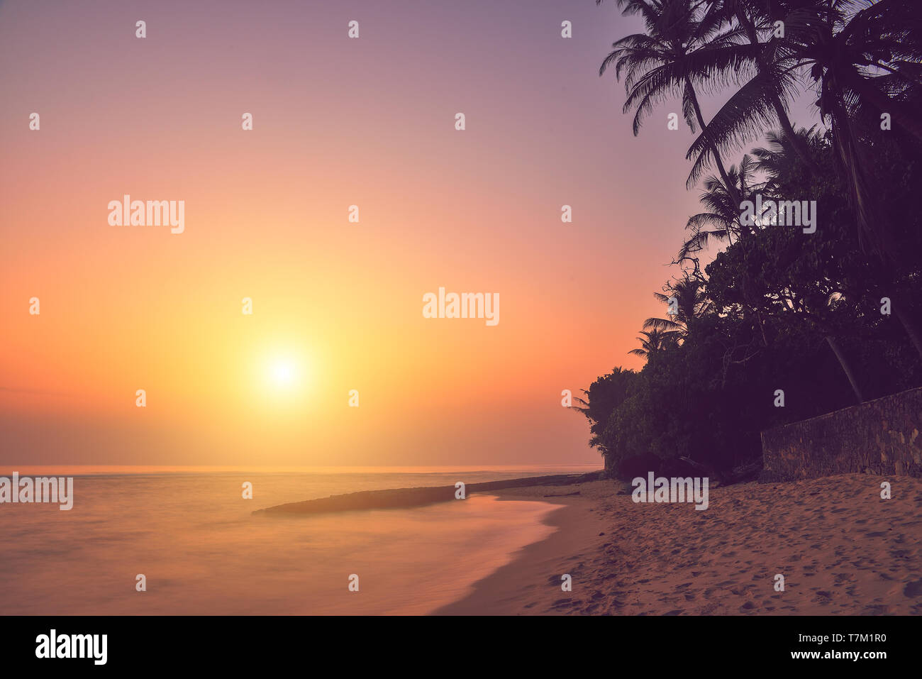 beautiful sunset in Sri Lanka Stock Photo - Alamy