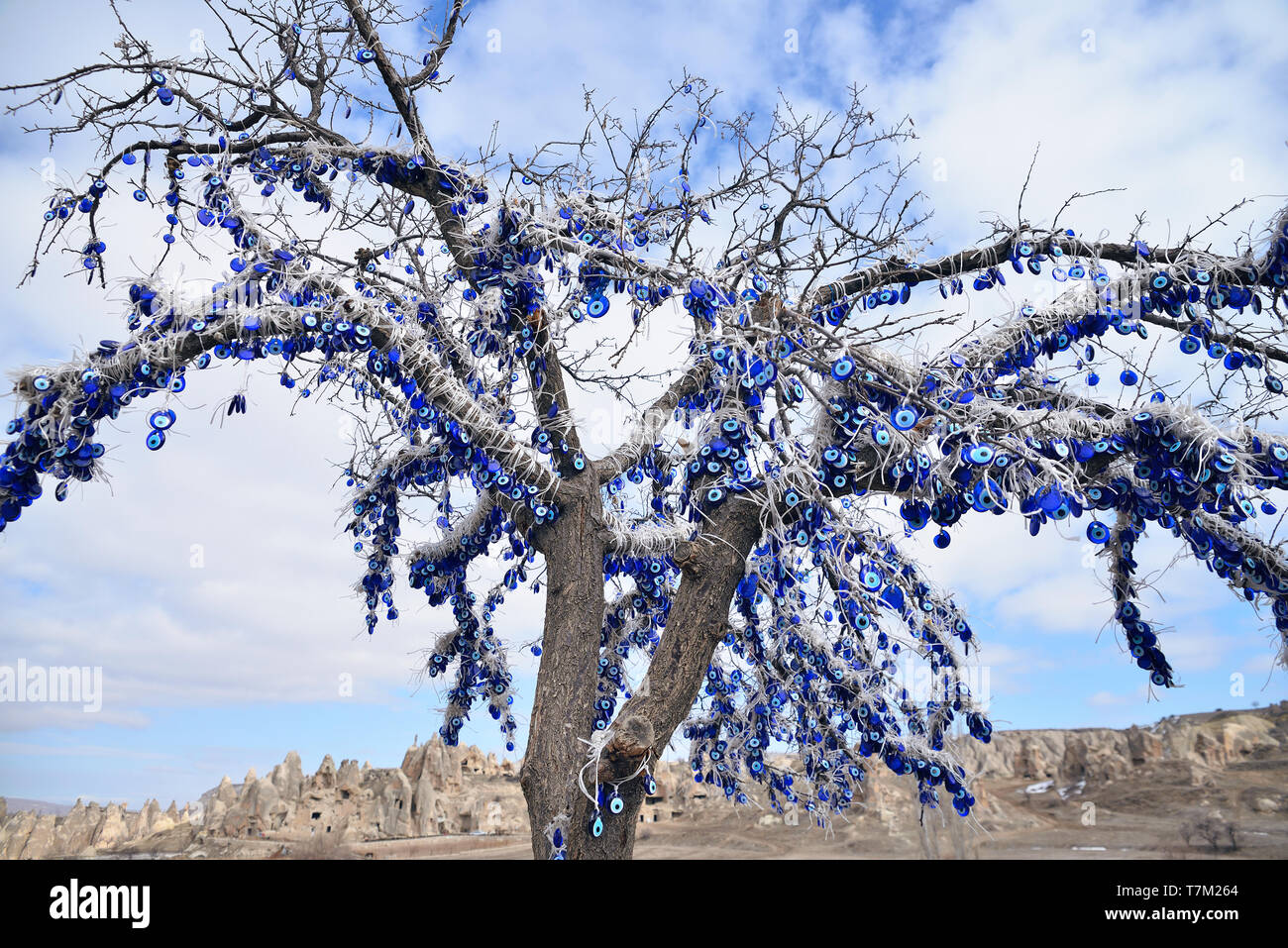 Evil Eye on tree  Stock Photo