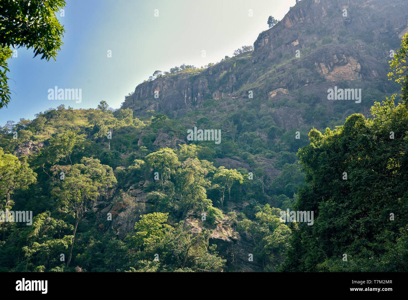 mountain landscape in Sri Lanka Stock Photo